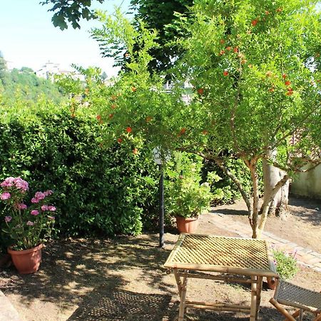 Bed and Breakfast Le Coste Veroli Экстерьер фото